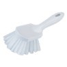 CARPET-UPHOLSTERY BRUSH